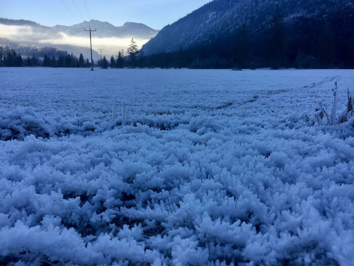 Icy Field Near Oberammergau, Germany