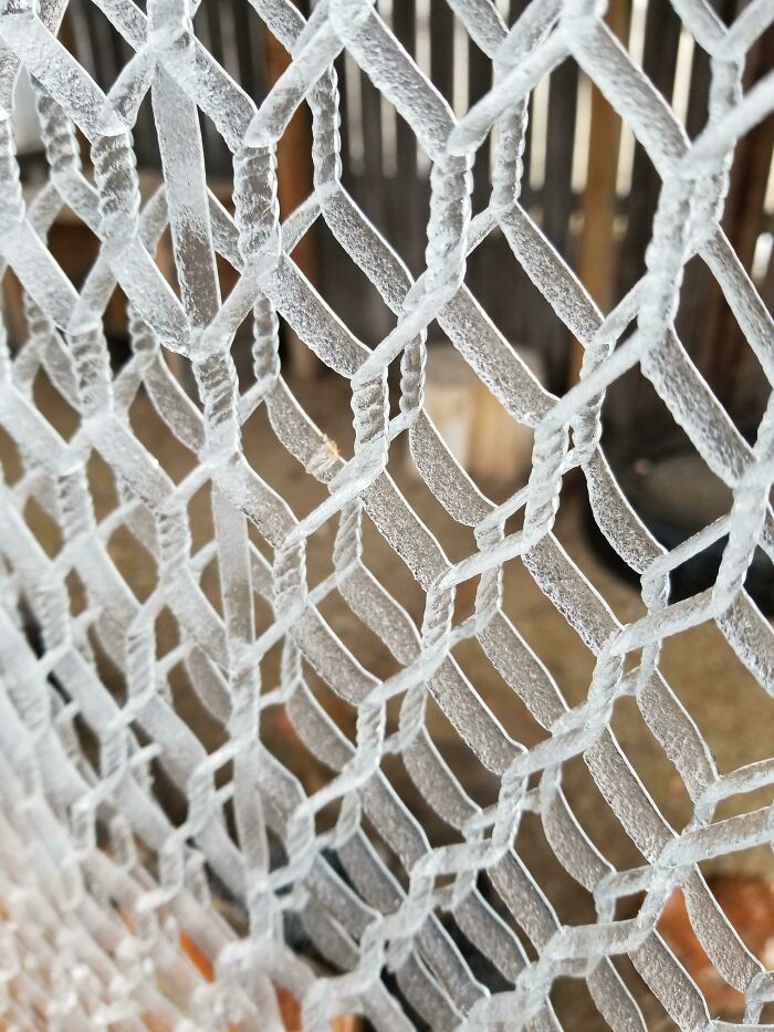 La forma en que la llovizna se congeló en el alambre