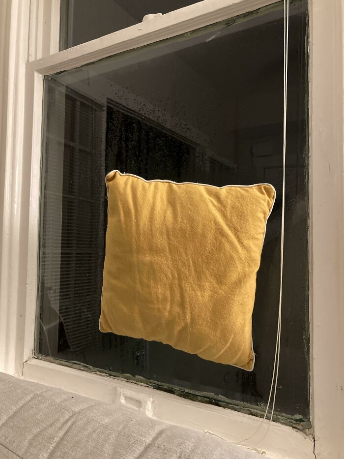 My Pillow Froze Against My Window In Texas
