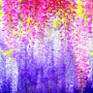 averycarmitchel avatar