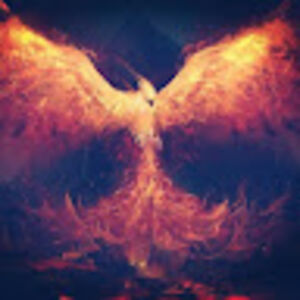 phoenixrising1975 avatar