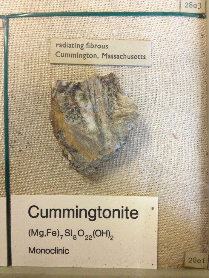 Spent 2 Hours Looking For This At The Natural History Museum (London): Totally Worth It