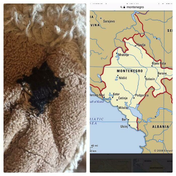 My 6yo Son (With Autism) Just Informed Me That The Stitched Eye Of His Stuffed Animal “Kind Of Looks Like The Country Of Montenegro.” I Had To Look It Up.he’s A Bit Into Geography Right Now And Never Ceases To Amaze Me