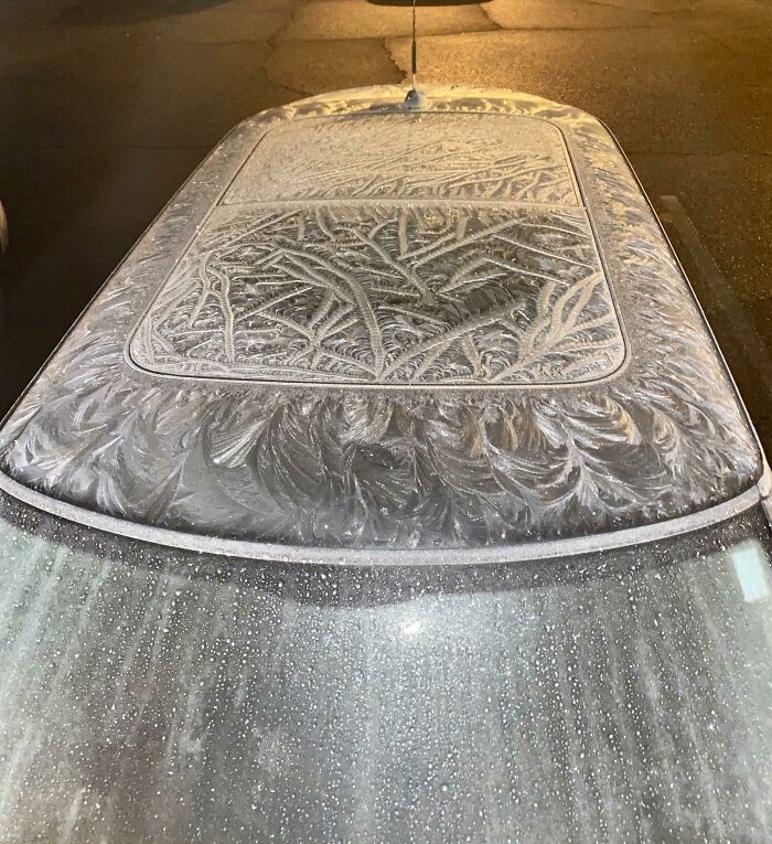 The Branch-Like Pattern The Ice Froze On The Roof Of This Car