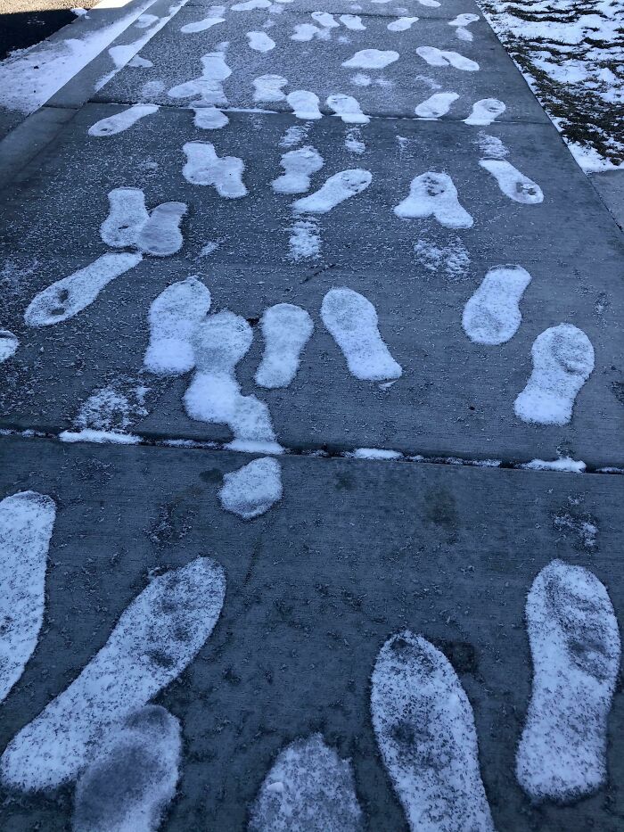 The Footprints On The Sidewalk Outside My House Froze