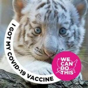 showmest8girl22 avatar