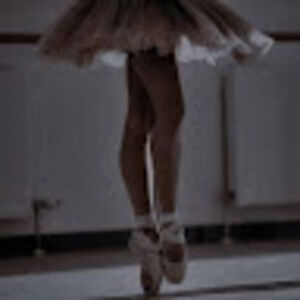 sofialaloraso avatar