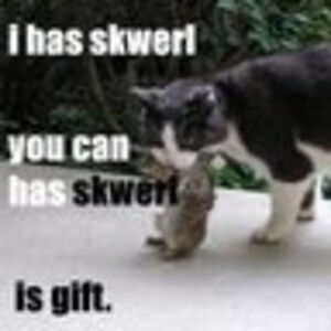 crunchtastic1948 avatar