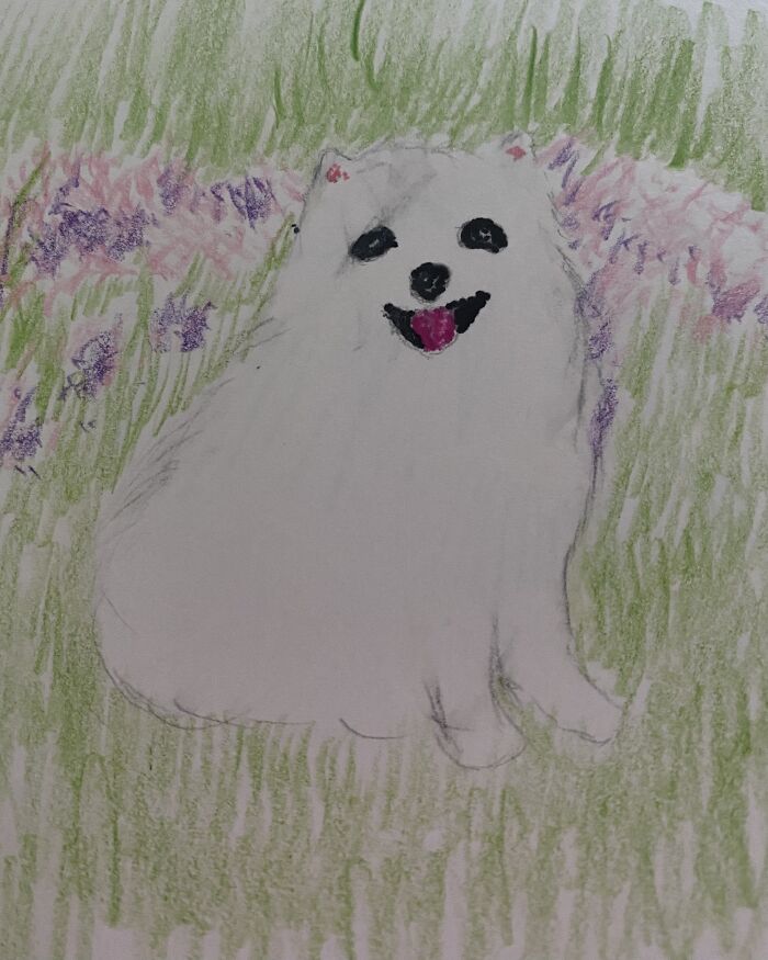 I Give You The Pomeranian Blob Dog!