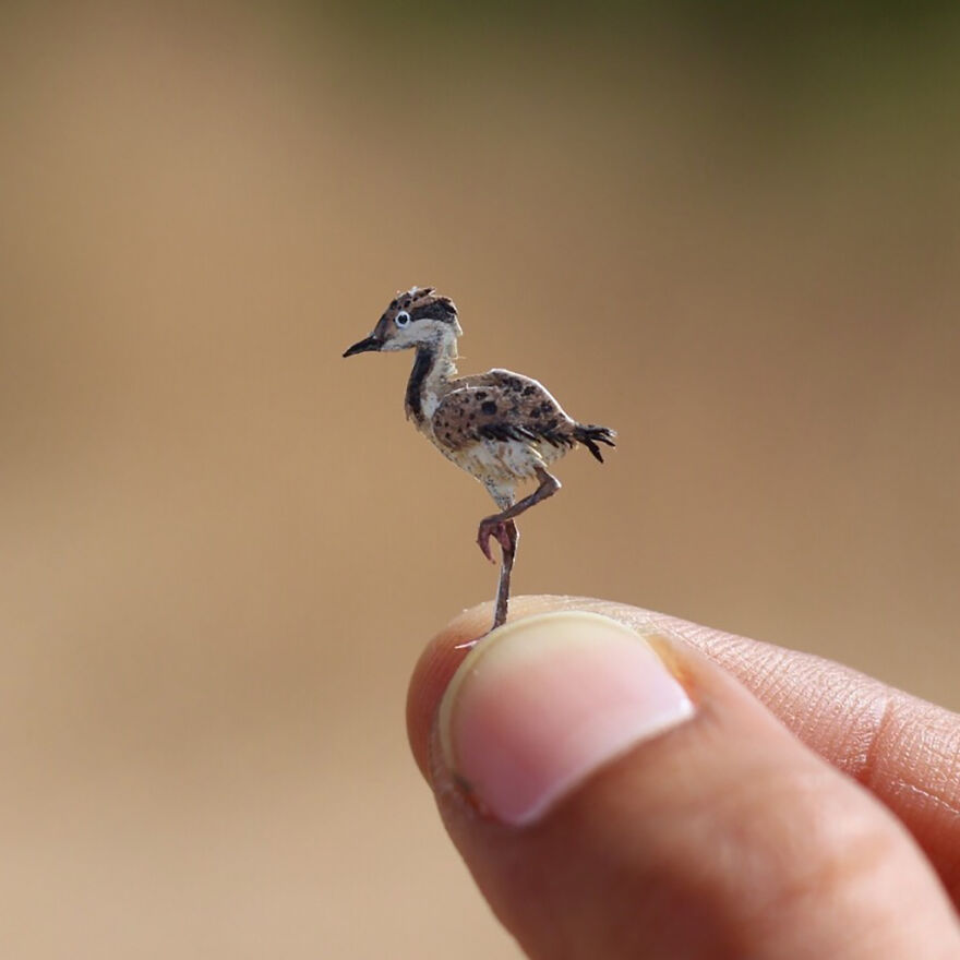 I Created Miniature Paper Cut Artworks Every Day For 1000 Days To Create Awareness About Wildlife I Created Miniature Paper Cut Artworks Every Day For 1000 Days To Create Awareness About Wildlife