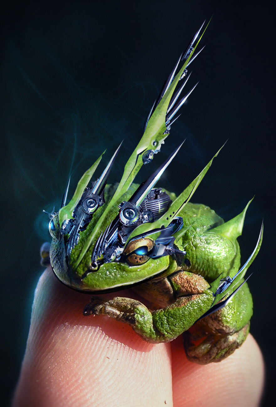 Digital Artists Are Challenged To Photoshop Frogs And Here Are The 30 Best Images