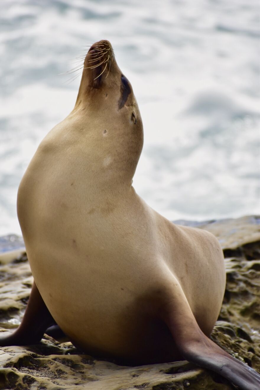 I Took These Photos, And I’m Very Proud Of Them!