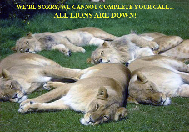 All-Lions-Are-Down-01-61b91fbae6924.jpg