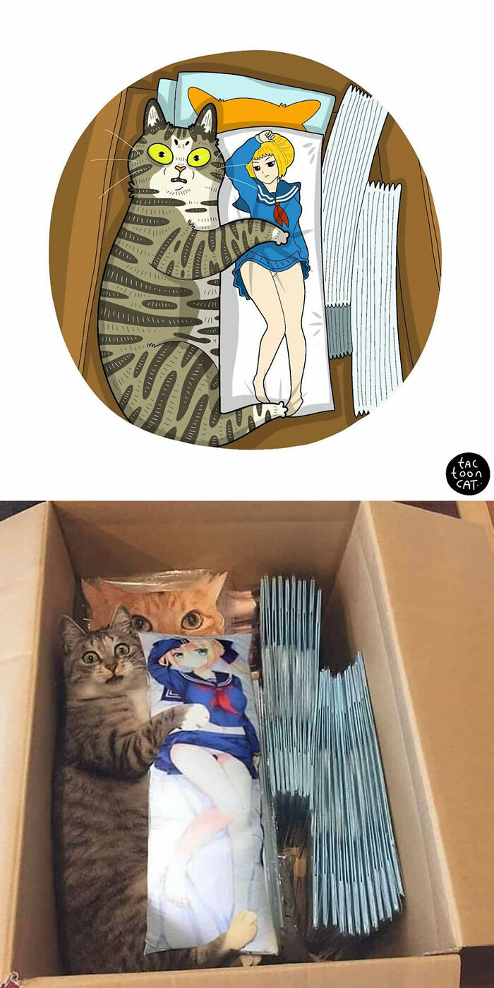 34 Funny Viral Cat Pics Illustrated By This Artist (New Pics)