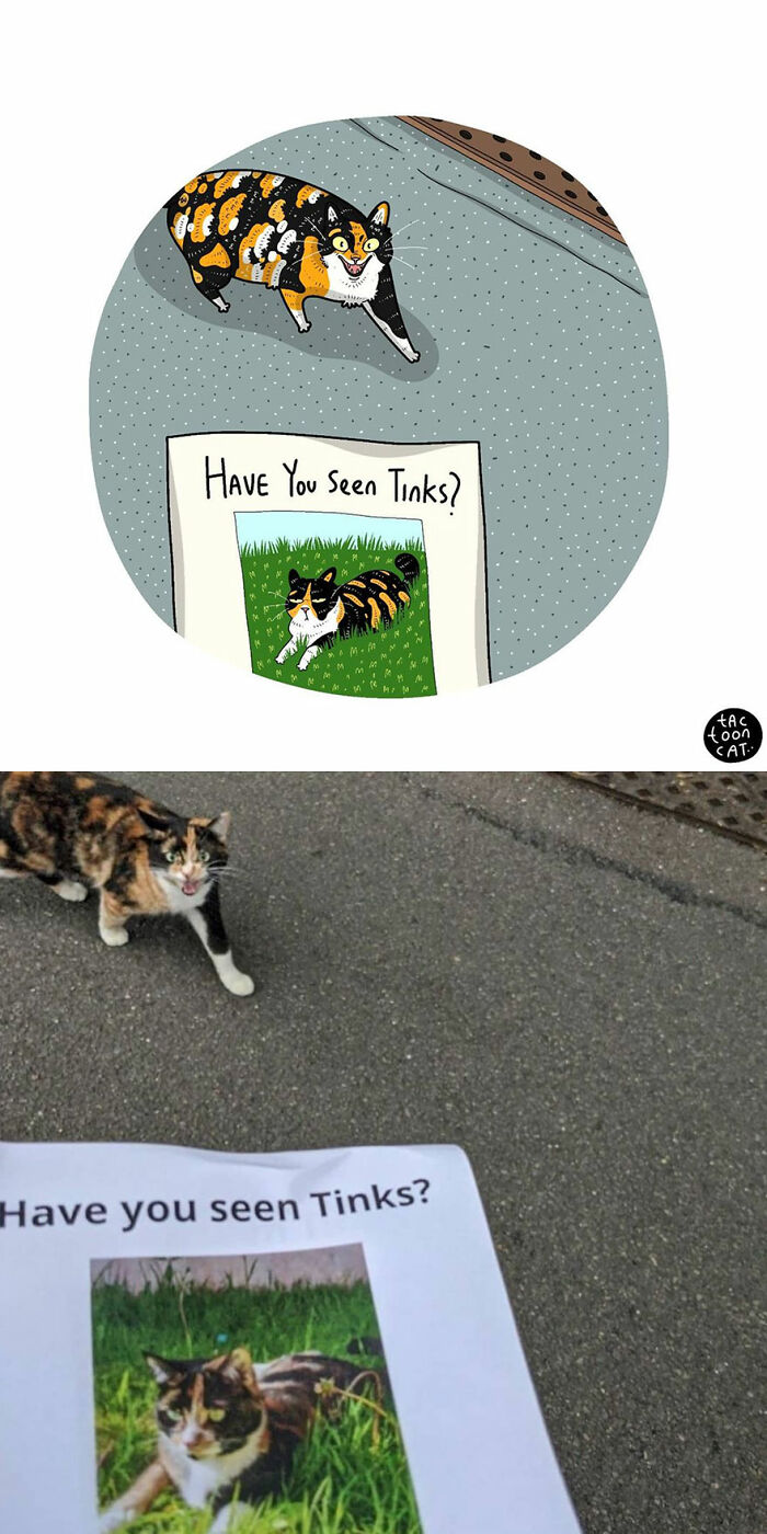 Artist Redraws Kitten Memes In A Fun And Adorable Way (New Pics)