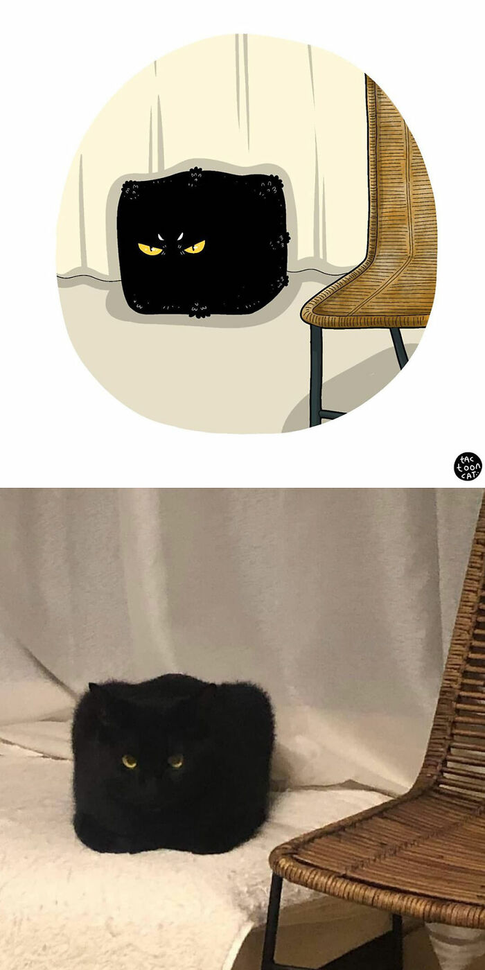 Artist Redraws Kitten Memes In A Fun And Adorable Way (New Pics)