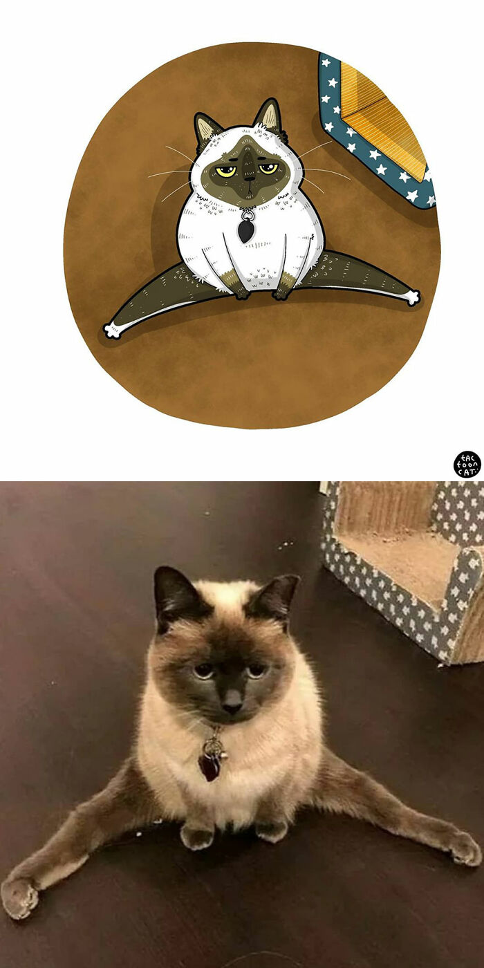 30 Of The Funniest Internet-Famous Cat Pics Get Illustrated By Tactooncat (New Pics)