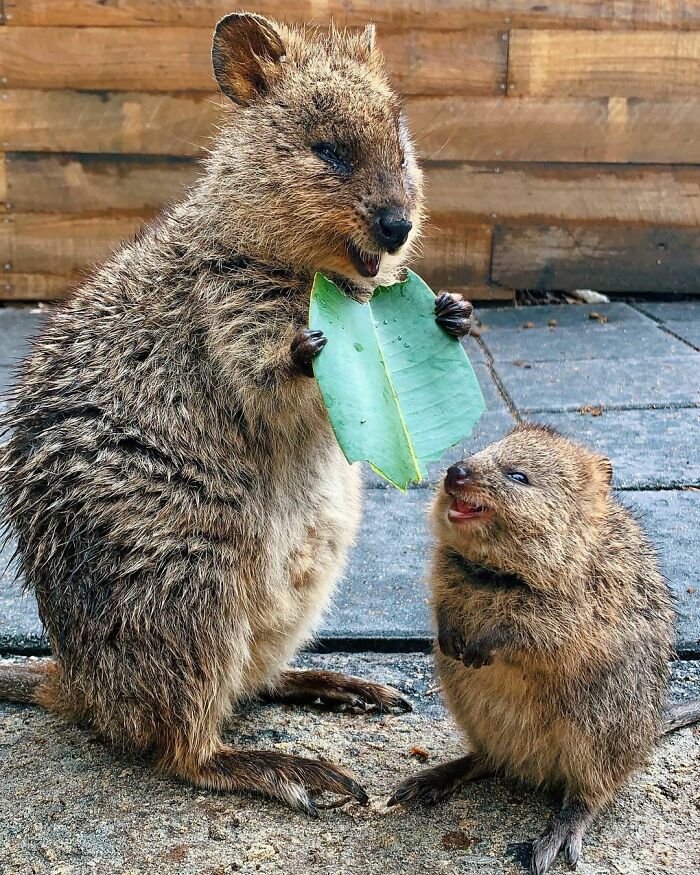 Paint Me Like One Of Your French Girls