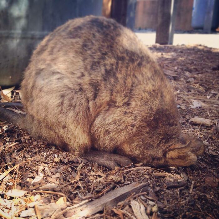 Big Night At The Pub... Zzzzzz