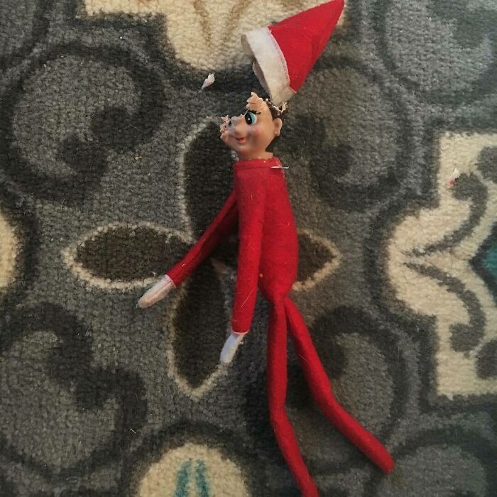 When You Come Home From Work To See What Your Dogs Did All Day.. My Poor Kids Are So Upset. Thankfully Santa Saw The Dogs Being Naughty And Turned Our Elf Into A Chew Toy! Our Real Elf Flew Back To The North Pole And Will Be Back Tomorrow!