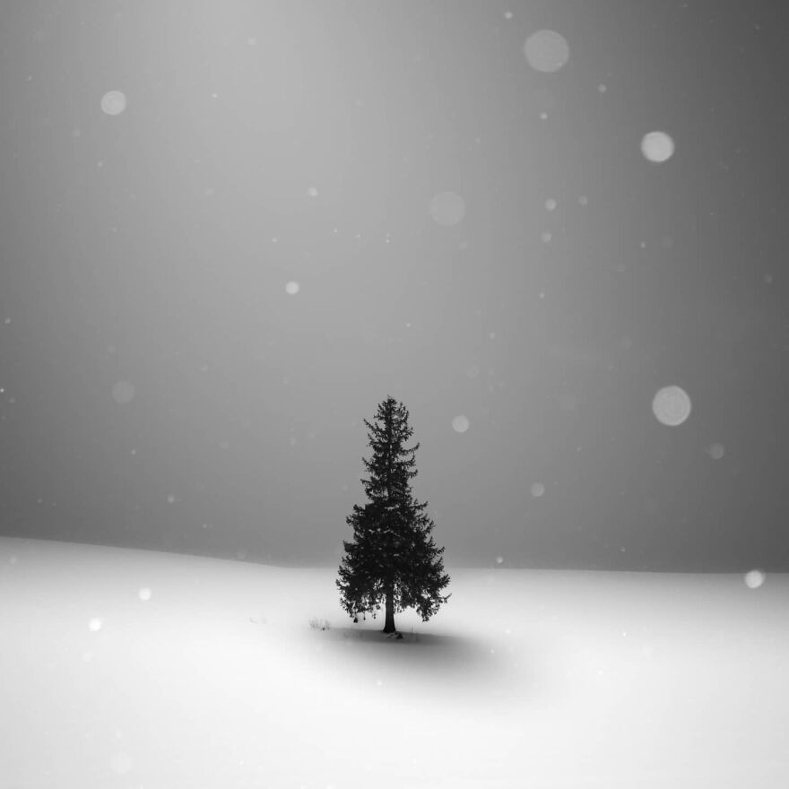 "Winter Of Silence"