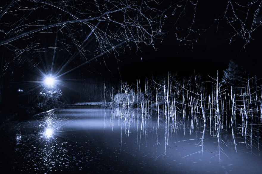 "Illuminated Blue Pond"