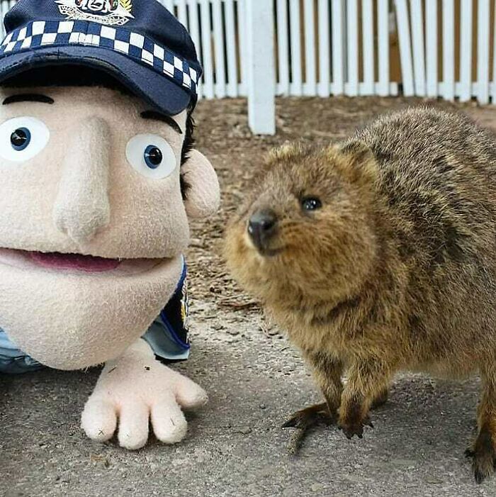Constable Care Was Lucky Enough To Visit Beautiful Rottnest Island To Teach It's 7 Students About First Aid
