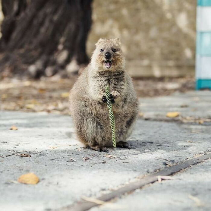 That Friday Feeling!