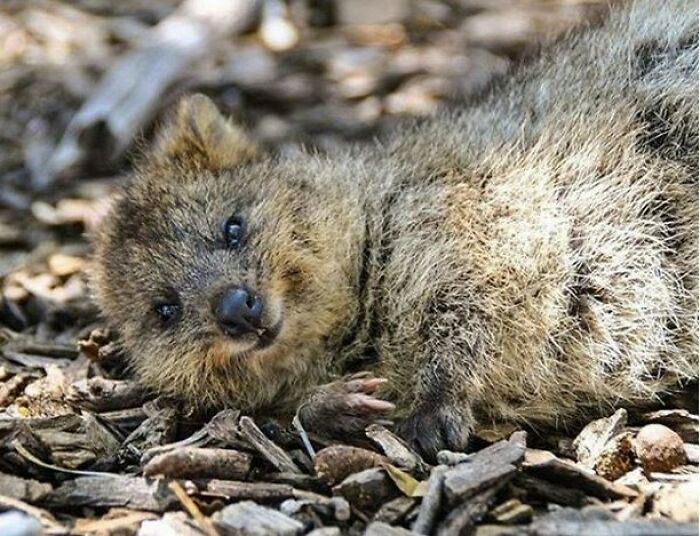 Hope You All Wake Up With A Smile