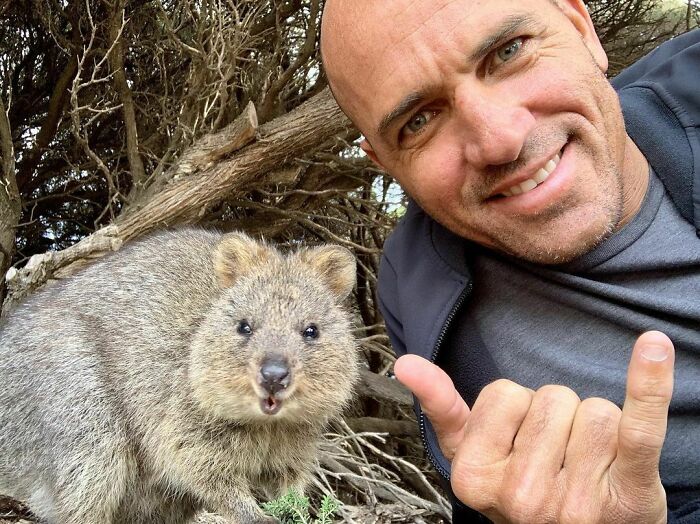 It’s A Little Known Fact That A Collective Group Of Quokkas Is (Now) Called A Shaka