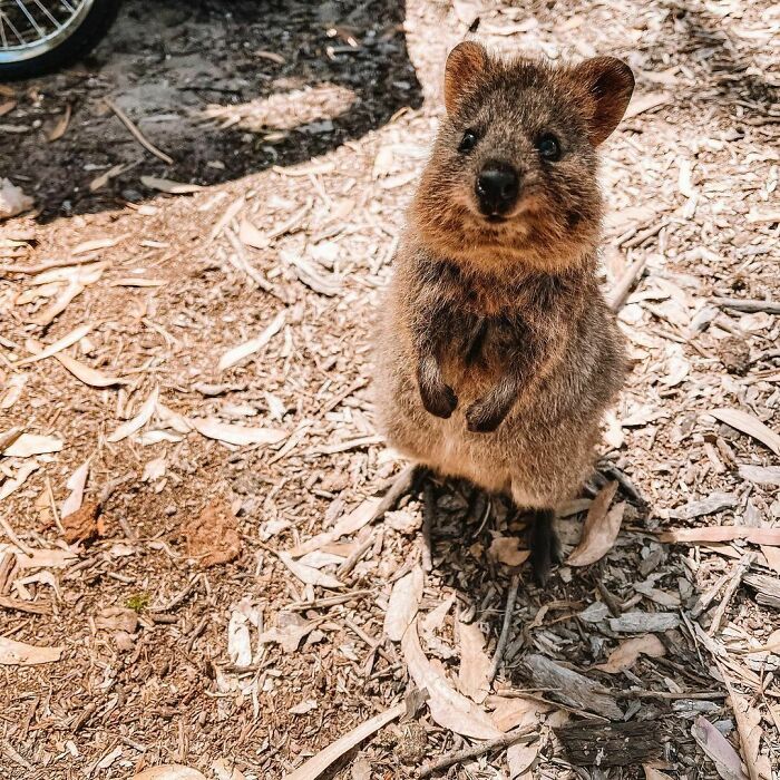 How Cute Is This Face