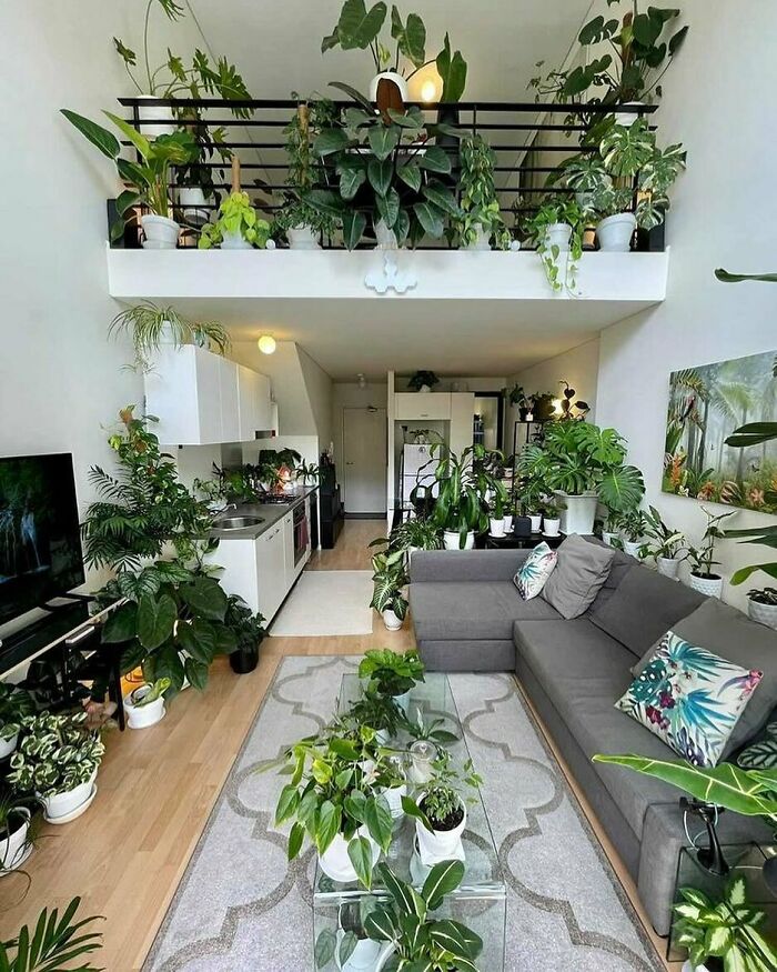 When Your Stager Goes A Little Nuts With House Plants