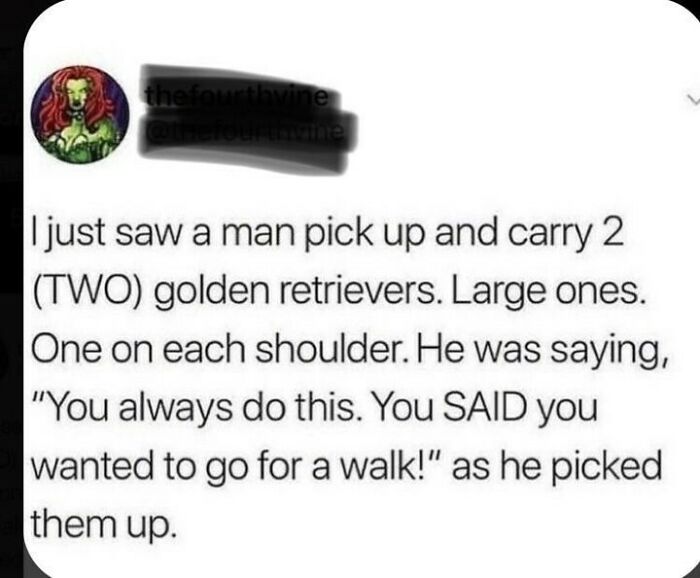 Wholesome-Meets-The-Internet