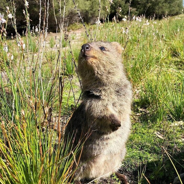 Who Got You Smiling Like That Like Me