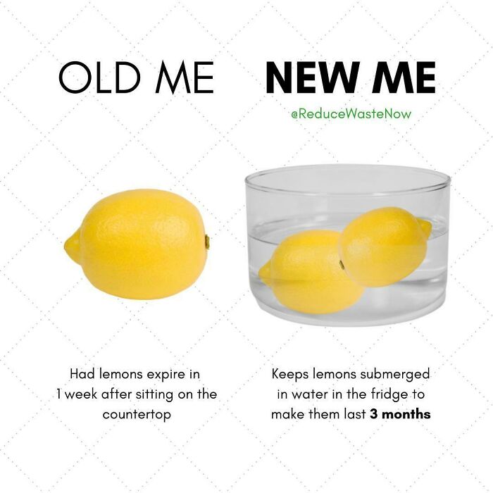 Follow @reducewastenow For Easy, Actionable Ways You Can Help The Environment!
would You Try This? 🍋
tag Someone Who’d Find This Helpful! 💚
the Water Helps Lemons Retain Their Moisture So They Last Extra Long!
would You Try This?
click The Link In Bio To Shop Sustainable Alternatives To Everyday Products!
#reducewastenow
​​sources Used (You Can Copy And Paste Links On Desktop) 👇
https://Www.insider.com/The-Secret-To-Keeping-Lemons-Fresh-For-3-Months-2016-6
#foodwaste #zerowaste #sustainability #nofoodwaste #lemons #zerofoodwaste #zerowasteliving #sustainable #storingfood #sustainableliving #savefood #compost #vegan #zerowastefood #circulareconomy #lovefoodhatewaste #earth #bestbefore #recycle #ecofriendly #organic #environment #composting #sustainablefood #plasticfree #plantbased