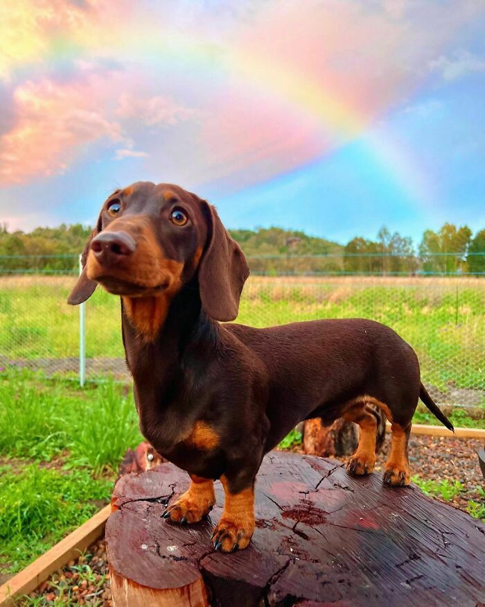 The Pot Of Gold