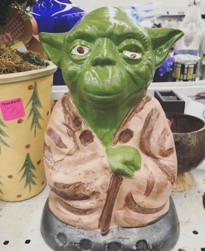What Are You Thankful For Today? We Are Thankful For The Little Things, Like Stroke Yoda. As Found By @moxiesillin