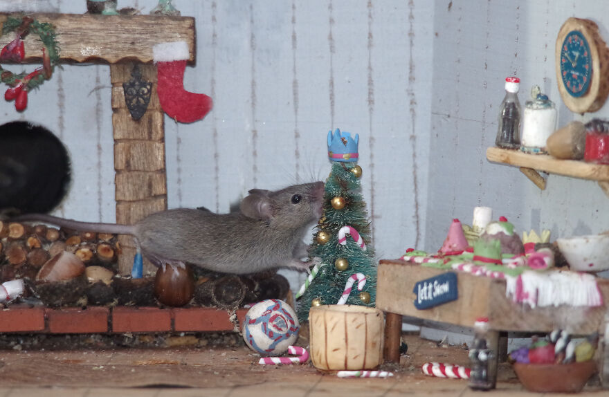 Christmouse Village
