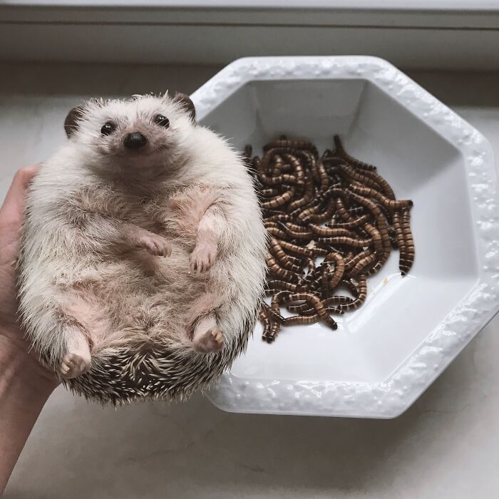 Guess What Makes Me Smile On Monday?