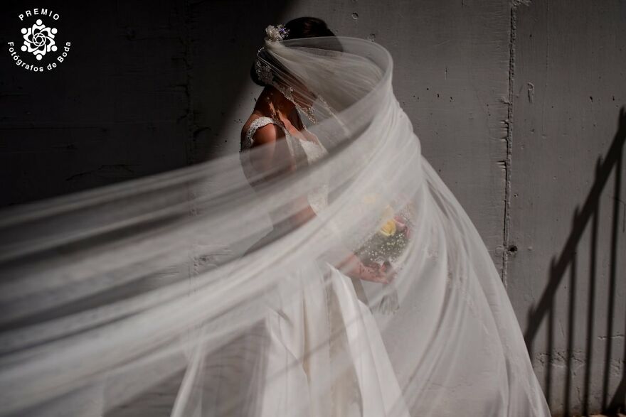 "The Veil" By David Copado