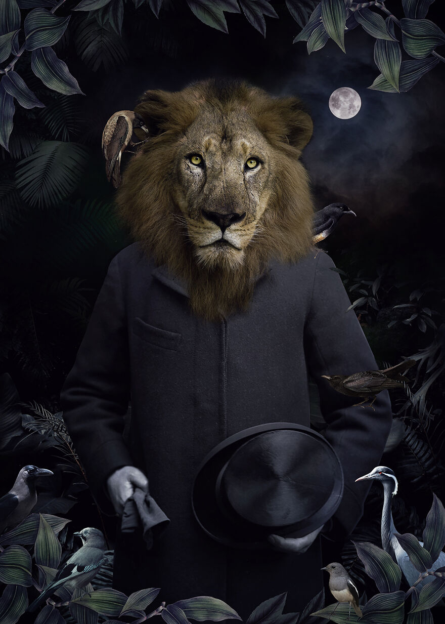 Never Forget The Forest - We Created Magical Collages Dedicated To Animals, Nature And Our Fragile Planet. Never Forget The Forest - We Created Magical Collages Dedicated To Animals, Nature And Our Fragile Planet.