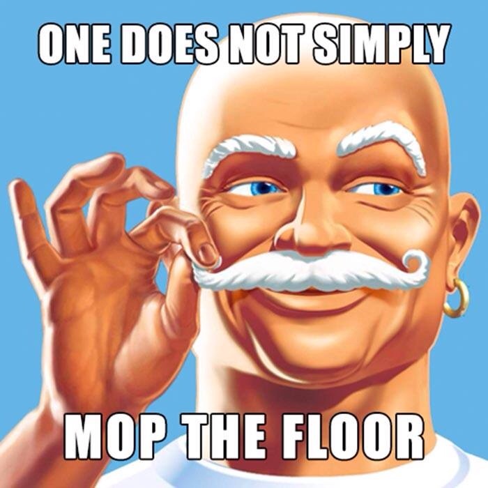 One Does Not Simply Mop The Floor.