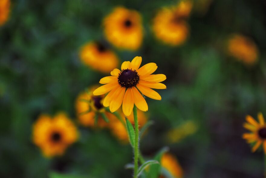 I Took These Photos, And I’m Very Proud Of Them!