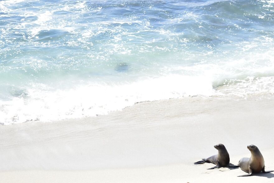 I Took These Photos, And I’m Very Proud Of Them!