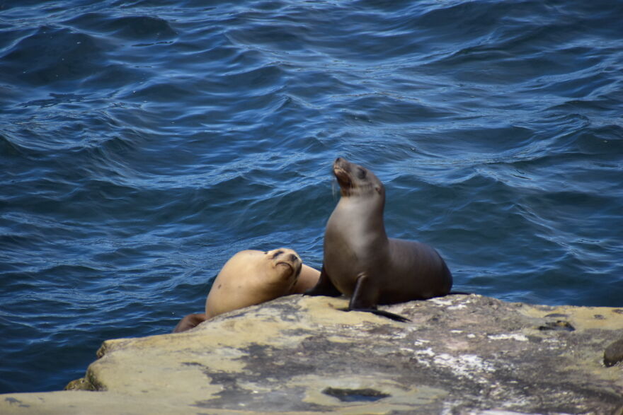 I Took These Photos, And I’m Very Proud Of Them!