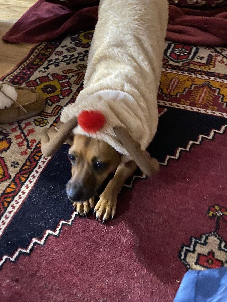 Comet Had A Photoshoot