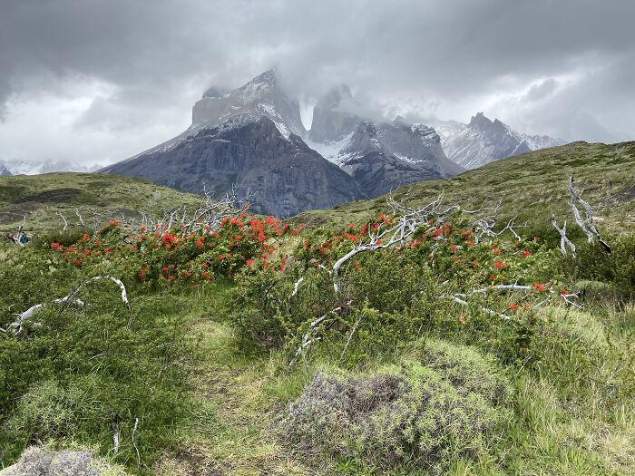 Los Cuernos- Torres Del Paine National Park, Patagonia