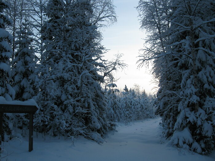A Path Leading To A Rapid Near My Home Town In North Karelia, Finland