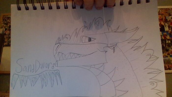 This Is Sanddollar (Sandwing)