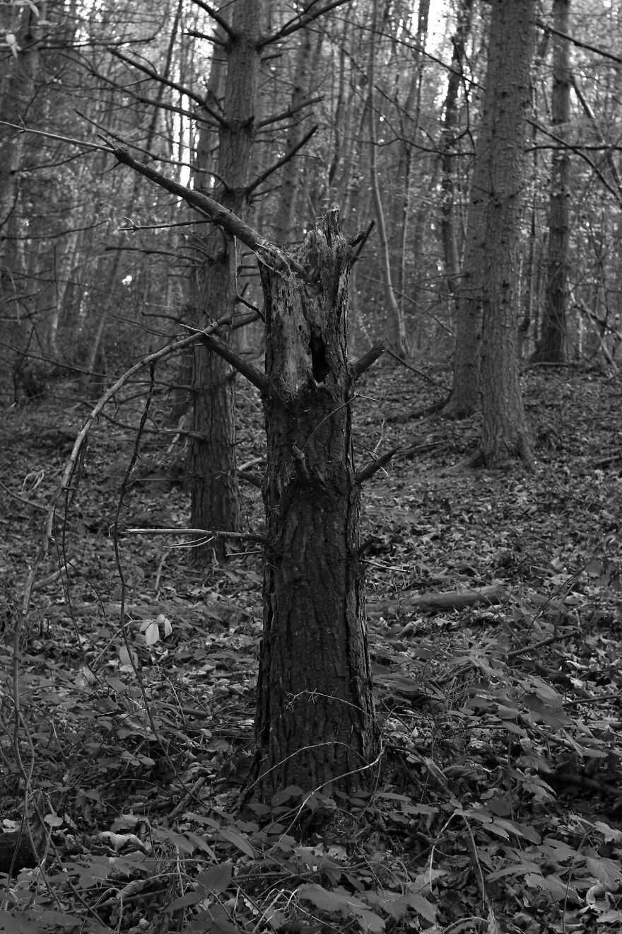 The Importance Of Human Connection